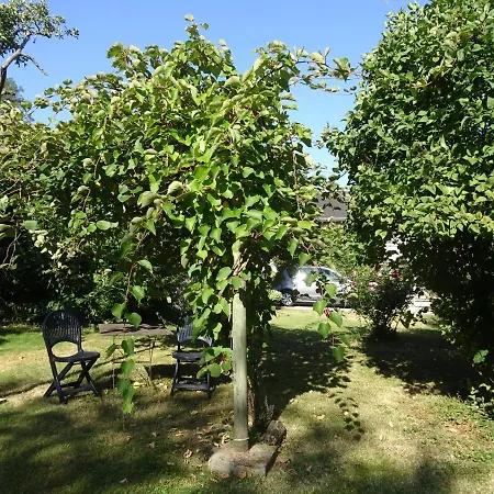 Apartment Moulin De Ringere Quincay